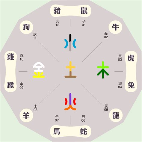 屬火的生肖|十二生肖五行属性对照表